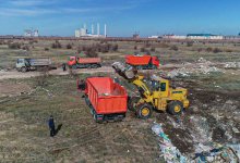 Штрафы увеличены в 5 раз: столица избавляется от несанкционированных свалок