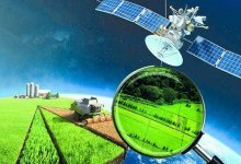 Космомониторинг сельхозземель усовершенствуют в Казахстане