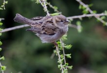 Какая погода ожидается в Казахстане 29 апреля