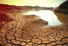 Засуха ожидается в Туркестанской области. Фермеры бьют тревогу