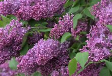 Синоптики рассказали, какая погода ждет казахстанцев 30 апреля