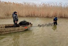 Пограничники на Каспии предотвратили ущерб на 1 млрд тенге