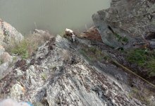 Спецоперацию по снятию коровы со скалы провели в Усть-Каменогорске