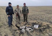 Браконьеры подстрелили двух краснокнижных журавлей в Костанайской области