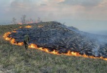 Крупные пожары разгорелись в природных парках ВКО