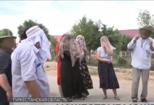 Мошкара терроризирует жителей нескольких районов Туркестанской области