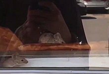 Мыши ели самсу в одном из киосков Актау (ВИДЕО)