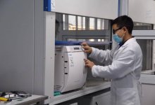 О бедных профессорах замолвите слово. Казахстанские ученые устали от “псевдорезультатов”