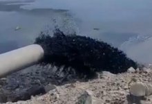 Слив черной жидкой массы в Каспий объясняют дноуглубительными работами