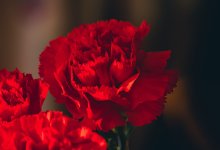 В Казахстане ветераны ВОВ и труженики тыла почти месяц могут ездить в поездах бесплатно