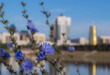 Погода 8 мая в Казахстане: в большинстве регионов ожидаются дожди с грозами