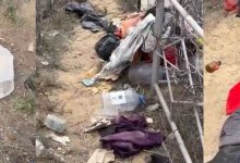 Христианское кладбище в Актау облюбовали бездомные