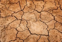 Сильную засуху прогнозируют в двух регионах Казахстана