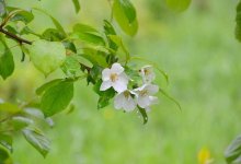 Синоптики рассказали о погоде 11 мая в Казахстане