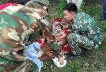 Годовалый малыш провалился в уличный туалет в Туркестанской области (ВИДЕО)