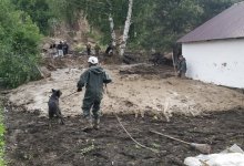Сход селя в Текели: свыше 200 человек ищут пропавшую девочку