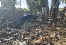 Пострадавшим при сходе оползня в Текели предоставят жилье