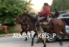 Незаконный кокпар на дорогах в Алматинской области закончился вандализмом