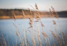 Пропавший при странных обстоятельствах парень в Павлодаре найден мертвым