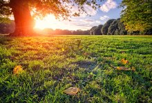 Каким будет лето-2022 в Казахстане, рассказали синоптики