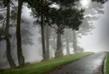 Штормовое предупреждение в ряде регионов 19 мая объявили синоптики