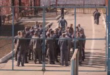 12 сотрудников наказали за массовую драку осужденных в колонии Уральска