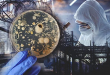 Токаев подписал закон о биобезопасности