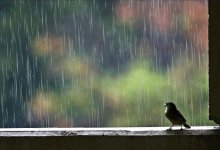 Синоптики рассказали, какая погода ждет казахстанцев 24 мая