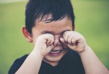 В столице разыскали пропавшего шестилетнего мальчика с помощью собаки