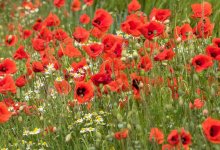 Циклон из Екатеринбурга повлияет на погоду в Казахстане 26 мая