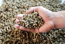 Водители предприятия похитили 17 тонн корма в Карагандинской области