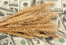 Павлодарские мошенники на миллионы обманули фермеров из Узбекистана