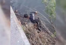 Полицейский спас из воды кота в Усть-Каменогорске (ВИДЕО)