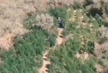 МВД объявило о начале широкомасштабной операции в Казахстане