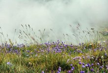 Прогноз погоды в Казахстане на первый день лета