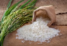 Индия может ограничить экспорт риса – СМИ
