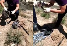 На окраине Кызылорды обнаружили схрон оружия (ВИДЕО)