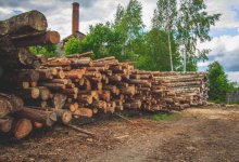 "Готова уже поджечь себя": сельчане в Алматинской области страдают из-за работающей лесопилки