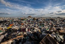 "Моя хата с краю!": полученные актюбинцами 10 соток земли оказались на мусорном полигоне