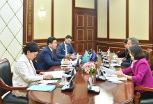 Судьбоносное решение для страны - Генсек ТюркПА о проведении референдума в Казахстане