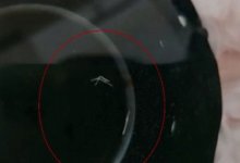 Вода с червями бежит из кранов в одном из сел Алматинской области