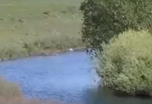 Трое детей утонули в Актюбинской области