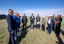 Скотоводство является основным источником дохода сельчан – секретарь AMANAT Жумагазиев