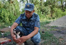 Умирающего щенка приютил сотрудник УИС Павлодара
