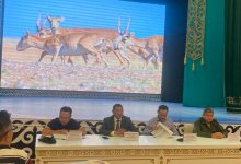 Нашествие сайги: рост популяции копытных угрожает сельскому хозяйству в Западном Казахстане