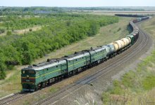 Стадо овец погибло под колесами грузового поезда в Акмолинской области