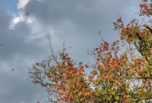 Сильный ветер, гроза: погода в Казахстане на 19 июня