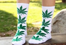 Иностранец при пересечении границы РК прятал гашиш в носках