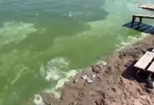 Кислотный цвет воды шокировал отдыхающих на водохранилище в Темиртау