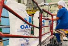 Сахар у нас будет всегда: в Минторговли призывают казахстанцев не бояться дефицита